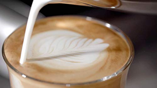 Breville Barista Max máquina de café expreso, totalmente automática con molinillo integrado y bomba italiana de 15 bares [VCF126X]