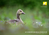Nikon AF-S NIKKOR 200-500 mm 1:5,6E ED VR - Objetivo