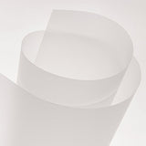 Canson Polyester Mate (2c) 75µ Transparente, Paquete A3 (100 Hojas)