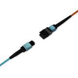 Lindy - Extensor HDMI 8K60 de fibra óptica MPO de 100 m
