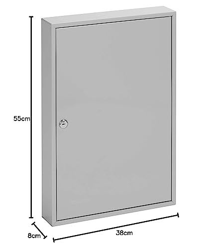 Burg Wachter Sterling KC50H - Armario para Llaves (50 Ganchos), Color Gris