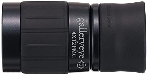 Kenko Gallery Eye 001462 - Monocular de 4 x 12 cm, Revestimiento múltiple, Distancia de Enfoque más cercana, 19 cm, Fabricado en Japón, para visualización de Arte, Color Negro
