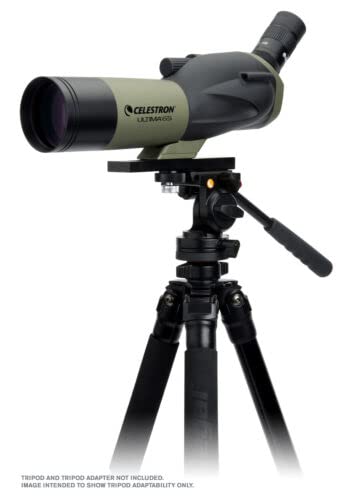 Celestron 52248 65 mm Ultima: catalejo de 45 grados, verde