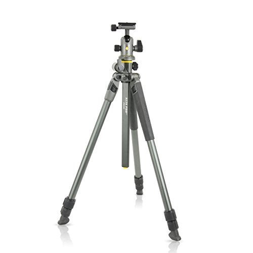 Vanguard Alta Pro 2+ 263AB 100 - Trípode aluminio con rótula bola con columna multi-ángulo