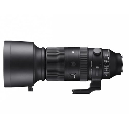 Sigma 60-600 mm F4.5-6.3 DG DN OS para Montaje en L
