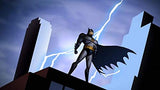 Batman - L'intégrale de la série animée [Francia] [Blu-ray]