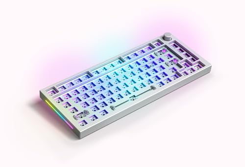 Glorious Gaming GMMK PRO 75% Barebones (solo carcasa) - Teclado gaming mecánico modular, TKL, carcasa de 1,5 kg, RGB, personalizable, switches de 5 pines, distribuciones internacional / ISO - Blanco