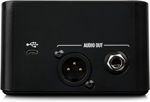 Line 6 RELAYG10II