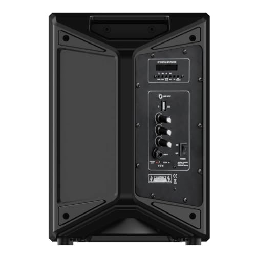 Thornton Auriga-1, Paquete de Altavoz Activo con Micrófono Inalámbrico de Diadema