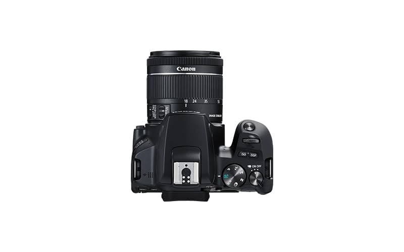 Canon EOS 250D - Cámara Digital (24,1 MP, 6000 x 4000 Pixeles, CMOS, 4K Ultra HD, Pantalla táctil) Negro - Kit con Cuerpo y EF-S 18-55IS STM