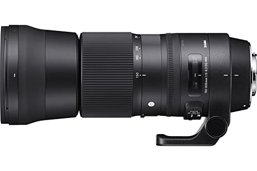 Sigma 150-600mm F5-6.3 DG OS HSM, Objetivo para cámara réflex Nikon F (150 - 600 mm, f/5 - 6.3), negro