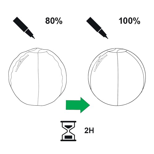 Leitz Balón de Asiento Ergo Active Antideslizante, Diseñado Ergonómicamente como Alternativa a la Silla de Escritorio, 75 cm de Diámetro, Incluye Funda de Tela, Bomba Aire Manual, 2 Tapones, 65430089