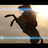 SIRUI 75mm E F1.8 1.33X APS-C Lente Anamórfica con Montura E para SonyA5000 A5100 A6000 A6100 A6300 A6400 A6500 A6600 NEX-3 NEX-3N NEX-3R NEX-5TNEX-5R NEX-5 NEX-5N NEX-7 NEX5C