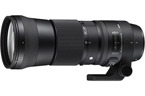 Sigma 150-600mm F5-6.3 DG OS HSM, Objetivo para cámara réflex Nikon F (150 - 600 mm, f/5 - 6.3), negro