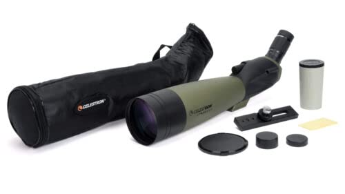 Celestron 52252 100 mm Ultima: catalejo de 45 grados, gris