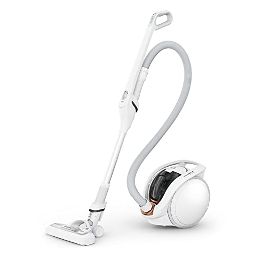 Rowenta X-Ô 160 Aspirateur Sans Fil IX7777EA IX7777EA-Aspirador inalámbrico, Blanco