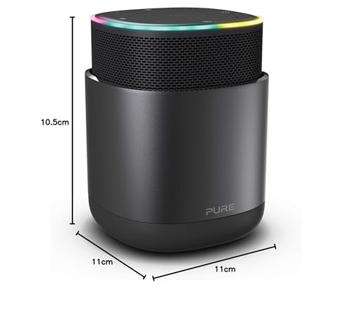 Pure DiscovR Altavoces Bluetooth con Alexa Incorporado, Multiroom, Carga rápida, Sonido de 360 Grados, 15 Horas de duración de la batería, Radio por Internet y privacidad Mejorada Grafito/Negro