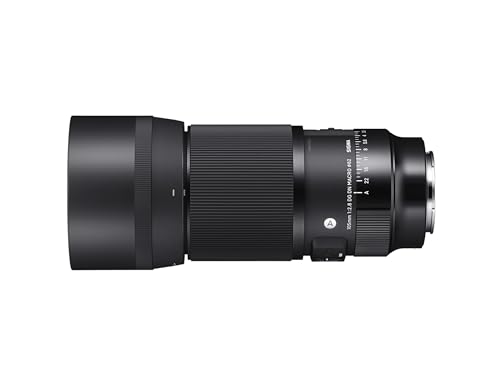 Objetivo Sigma 260965 105mm F2.8 DG DN Macro, Serie Art (Montura Sony E) Black