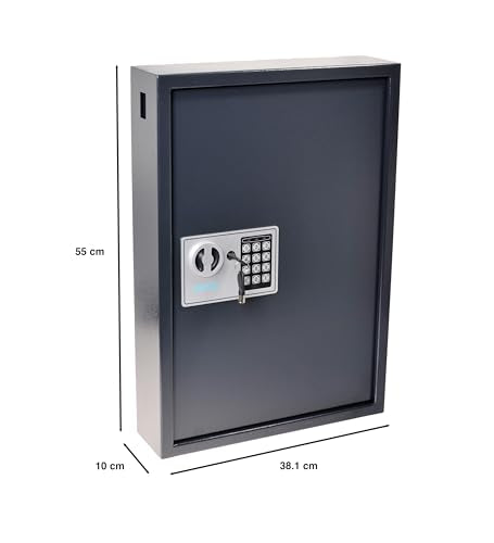 Pavo - Armario de llaves de alta seguridad para 50 llaves/Caja fuerte para llaves/Dimensiones: 550 x 380 x 100 mm / Incluye 50 llaveros