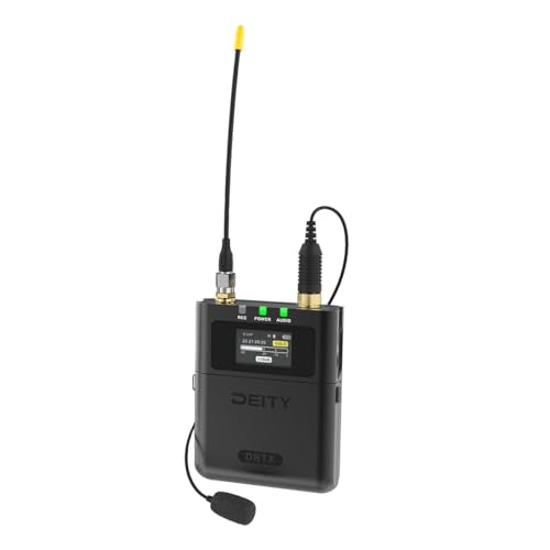 Deity THEOS Digital Wireless 2ch Kit (Global Version)
