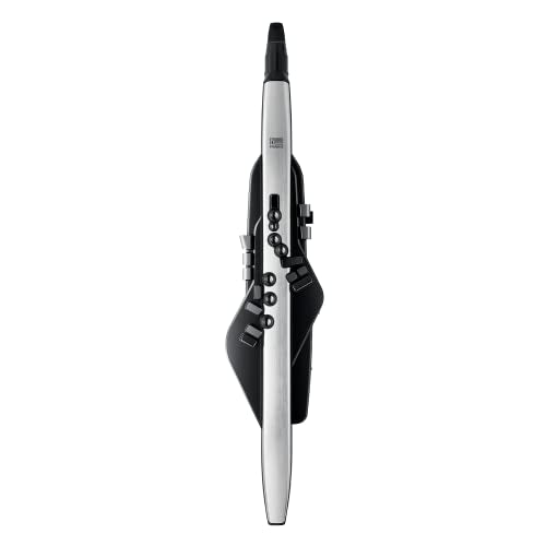 Roland AE-30 Aerophone Pro - Instrumento de viento digital profesional con sistema de síntesis ZEN-Core y sonidos natural, digitación de saxofón tradicional, Bluetooth