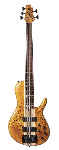 CORT A5 Plus SC (Regular Scale)