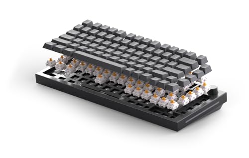 Glorious Gaming GMMK PRO 75% Barebones (solo carcasa) - Teclado gaming mecánico modular, TKL, carcasa de 1,5 kg, RGB, personalizable, switches de 5 pines, distribuciones internacional / ISO - Negro