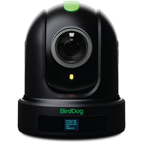 BirdDog P110 PTZ Camera 1080P with 10x Zoom, OLED Screen