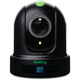 BirdDog P110 PTZ Camera 1080P with 10x Zoom, OLED Screen