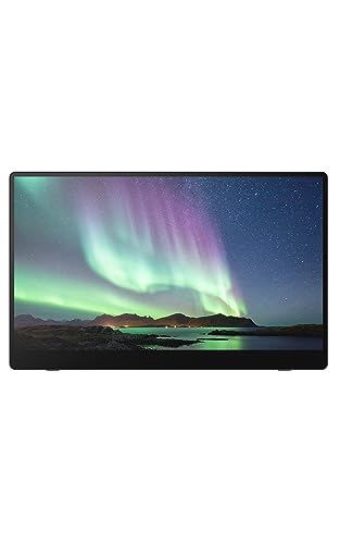 RICOH 150 Ultra-Light Mobile Monitor in Tablet Style