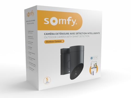Somfy 1875326 - Cámara al Aire Libre 2 Gris, cámaras con detección de Movimiento Inteligente, Sirena integrada de 110 DB, conexión Posible en una luminaria existente, imágenes Full HD 1080p