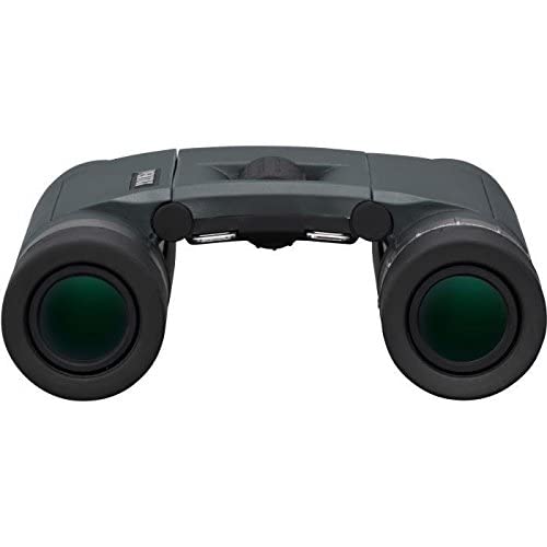 Pentax AD 8X25 WP - Binoculares, Color Negro