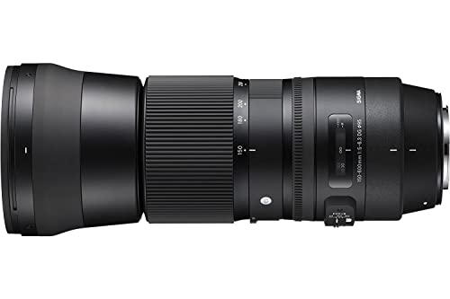 Sigma 150-600mm F5-6.3 DG OS HSM, Objetivo para cámara réflex Nikon F (150 - 600 mm, f/5 - 6.3), negro