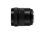 Panasonic LUMIX S-R2060E - Objetivo (20-60 mm, F3.5-5.6, tamaño de filtro 67 mm, resistente a salpicaduras de agua y protección contra el frío) negro