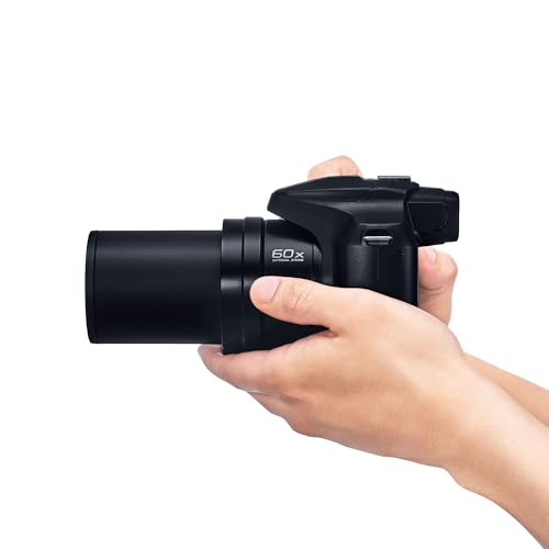 Panasonic Lumix DC-FZ82DE-K Cámara Bridge con Lente 20-1200 mm F2.8-5.9, 18,1 MP, Video y Fotografía 4K, Visor Live View OLED, Pantalla Táctil LCD, USB-C, Color Negro