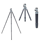 Rollei Trípode de Carbono Lion Rock Pro con Cabezal de trípode – Ultraligero, Alta Capacidad de Carga 20 kg, Altura Ajustable hasta 147,5 cm, tamaño Compacto del Paquete, Puntas Intercambiables para