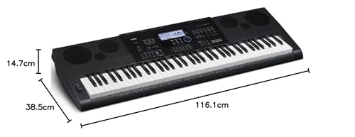 Casio Tastiera 76T 48P200R.Sd/USB Ahl - Teclado Casio, gris (WK-6600)