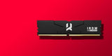 Goodram - Módulo de Memoria DDR5 IRDM 2x16GB Kit 6000MHz CL30 SR DIMM Black V Silver - Interno - DRAM - para PC - Ordenador de sobremesa - Portátil - Gaming - Gamer - Procesamiento gráfico -