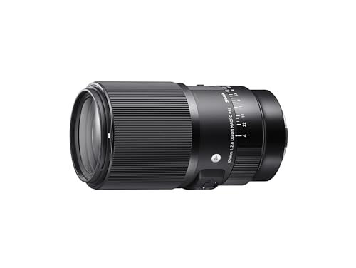 Objetivo Sigma 260965 105mm F2.8 DG DN Macro, Serie Art (Montura Sony E) Black