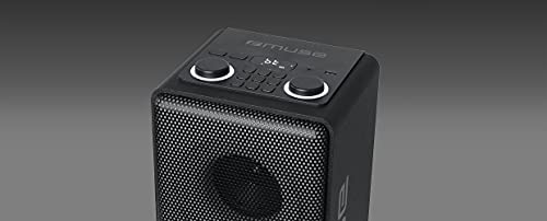 Muse M1808DJ - Altavoz portátil (150 W), Color Negro