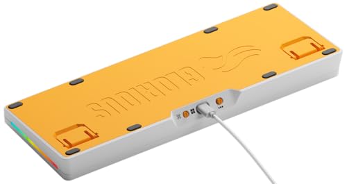 Glorious Gaming GMMK 3 anpassat mekaniskt gamingtangentbord, 65% kompakt, modulärt packningssystem, doubleshot PBT-tangenter, aluminiumplatta, utbytbara 3- Och 5-stiftsbrytare, USA QWERTY - Vit