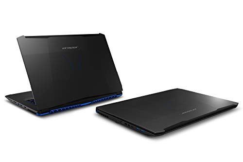 MEDION ERAZER X7861 - MD 61177 - Ordenador portátil gaming de 17.3" (Intel Core i7-8750H, 16 GB RAM, 1 TB HDD, 256 GB SSD, Nvidia GeForce GTX 1070, Windows 10) negro - Teclado QWERTY Español