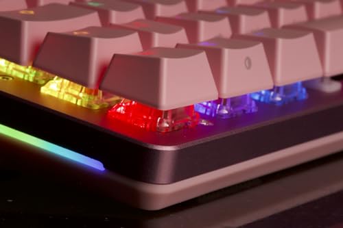Glorious Gaming GMMK 2 Full Size (96%) - Teclado gaming mecánico, carcasa de aluminio, personalizable, keycaps dobles, switches Glorious Fox, RGB, distribuciones QWERTY estadounidense - Rosa