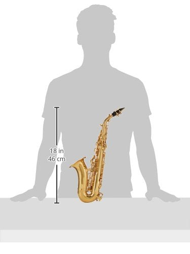 Roy Benson Saxofón Soprano Sib SG-302 (Premium Brass Design, con arco ergonómico RND S-Bow, llave Fa# agudo, almohadilla PISONI, estuche ligero para transporte, con juego de mochila)
