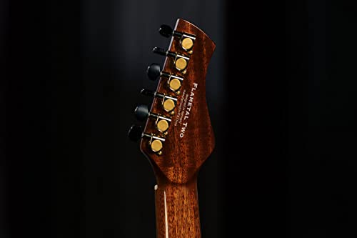ORTEGA Ben Woods Signature Guitar Clavijero invertido Nylon 6 Cuerdas y funda Ben Woods Fishman-ORTEGA Clasica Blend System con salida XLRFLAMETAL-TWO