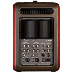 L.R. Baggs Synapse Personal PA - Amplificador acústico (2 Canales, 500 W)