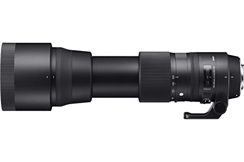Sigma 150-600mm F5-6.3 DG OS HSM, Objetivo para cámara réflex Nikon F (150 - 600 mm, f/5 - 6.3), negro