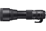 Sigma 150-600mm F5-6.3 DG OS HSM, Objetivo para cámara réflex Nikon F (150 - 600 mm, f/5 - 6.3), negro