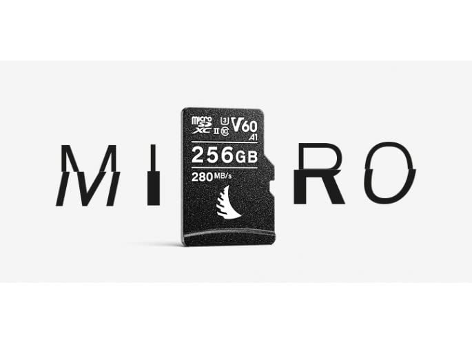 ANGELBIRD AV Pro microSD (256 GB) V60