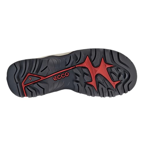 ECCO Offroad Shoes, Sandalia Deportiva Hombre, Tarmac Tarmac, 43 EU